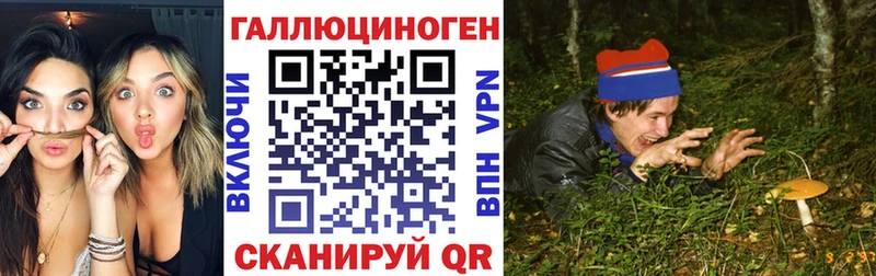 Купить  Верея  Галлюциногенные грибы Cubensis 